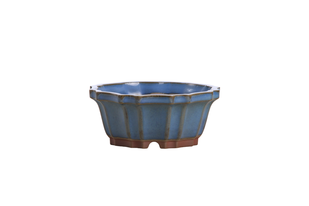 Willow Bonsai Ceramics Flower Design Bonsai Pot 4.5 Inch – Elegant Ceramic Bonsai & Succulent Planter, High‑Fired Frost‑Proof Stoneware with Drainage & Wiring Holes, Handmade in USA (Peacock 2023)