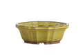 Willow Bonsai Ceramics Flower Design Bonsai Pot 6.5 Inch – Elegant Ceramic Bonsai & Succulent Planter, High‑Fired Frost‑Proof Stoneware with Drainage & Wiring Holes, Handmade in USA (Yellow)