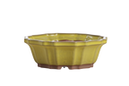 Willow Bonsai Ceramics Flower Design Bonsai Pot 6.5 Inch – Elegant Ceramic Bonsai & Succulent Planter, High‑Fired Frost‑Proof Stoneware with Drainage & Wiring Holes, Handmade in USA (Yellow)