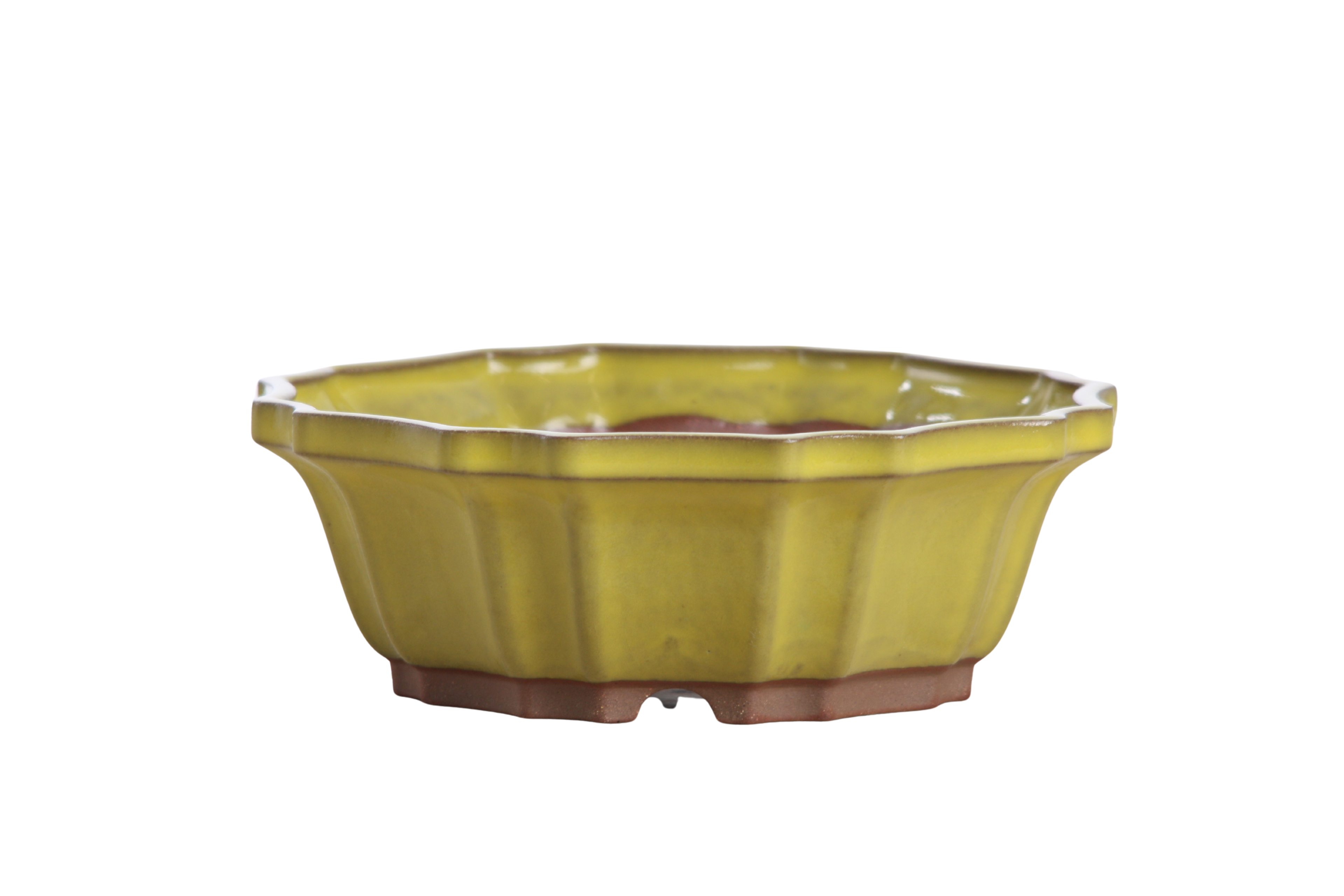 Willow Bonsai Ceramics Flower Design Bonsai Pot 6.5 Inch – Elegant Ceramic Bonsai & Succulent Planter, High‑Fired Frost‑Proof Stoneware with Drainage & Wiring Holes, Handmade in USA (Yellow)