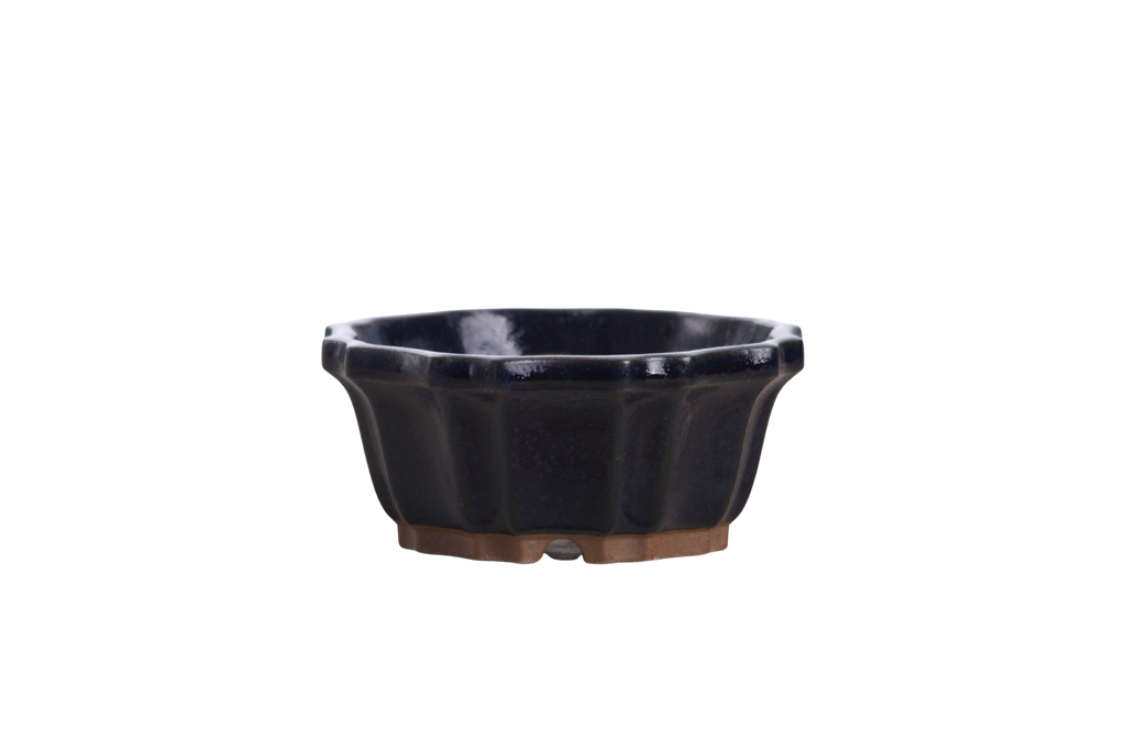 Willow Bonsai Ceramics Flower Design Bonsai Pot 4.5 Inch – Elegant Ceramic Bonsai & Succulent Planter, High‑Fired Frost‑Proof Stoneware with Drainage & Wiring Holes, Handmade in USA (Ruri)