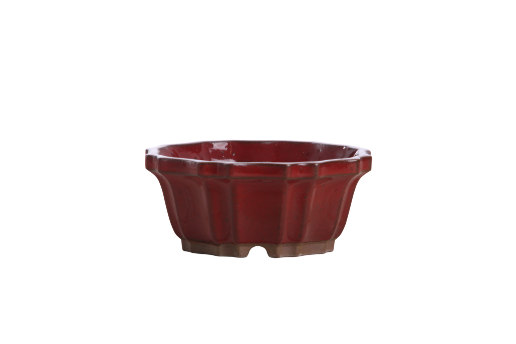 Willow Bonsai Ceramics Flower Design Bonsai Pot 4.5 Inch – Elegant Ceramic Bonsai & Succulent Planter, High‑Fired Frost‑Proof Stoneware with Drainage & Wiring Holes, Handmade in USA (Red)