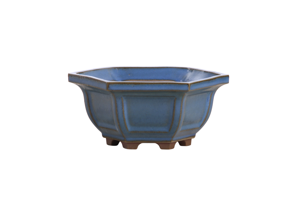 Willow Bonsai Ceramics Hexagonal Windowed Bonsai Pot 5 Inch – Semi‑Cascade Planter, High‑Fired Frost‑Proof Stoneware with Drainage & Wiring Holes, Handmade in USA (Peacock 2023)