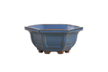 Willow Bonsai Ceramics Hexagonal Windowed Bonsai Pot 5 Inch – Semi‑Cascade Planter, High‑Fired Frost‑Proof Stoneware with Drainage & Wiring Holes, Handmade in USA (Peacock 2023)