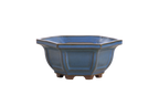 Willow Bonsai Ceramics Hexagonal Windowed Bonsai Pot 5 Inch – Semi‑Cascade Planter, High‑Fired Frost‑Proof Stoneware with Drainage & Wiring Holes, Handmade in USA (Peacock 2023)