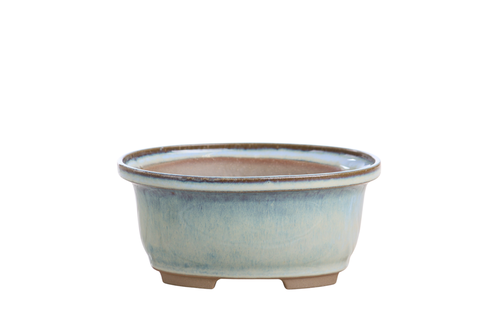 Willow Bonsai Ceramics Fat Bonsai Pot 5.5 Inch – Bold Oval Ceramic Bonsai & Succulent Planter with Accentuated Rim, High‑Fired Frost‑Proof Stoneware, Handmade in USA (Glacier)