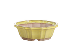 Willow Bonsai Ceramics Flower Design Bonsai Pot 6.5 Inch – Elegant Ceramic Bonsai & Succulent Planter, High‑Fired Frost‑Proof Stoneware with Drainage & Wiring Holes, Handmade in USA (Yellow)