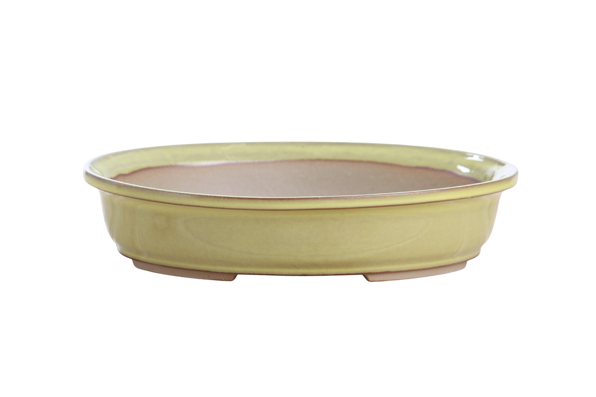 Willow Bonsai Ceramics Landscape Oval A Bonsai Pot 10 Inch – Large Oval Ceramic Bonsai Planter for Forest, Group & Specimen Tree Plantings, High‑Fired Frost‑Proof Stoneware, Handmade in USA (Yellow)