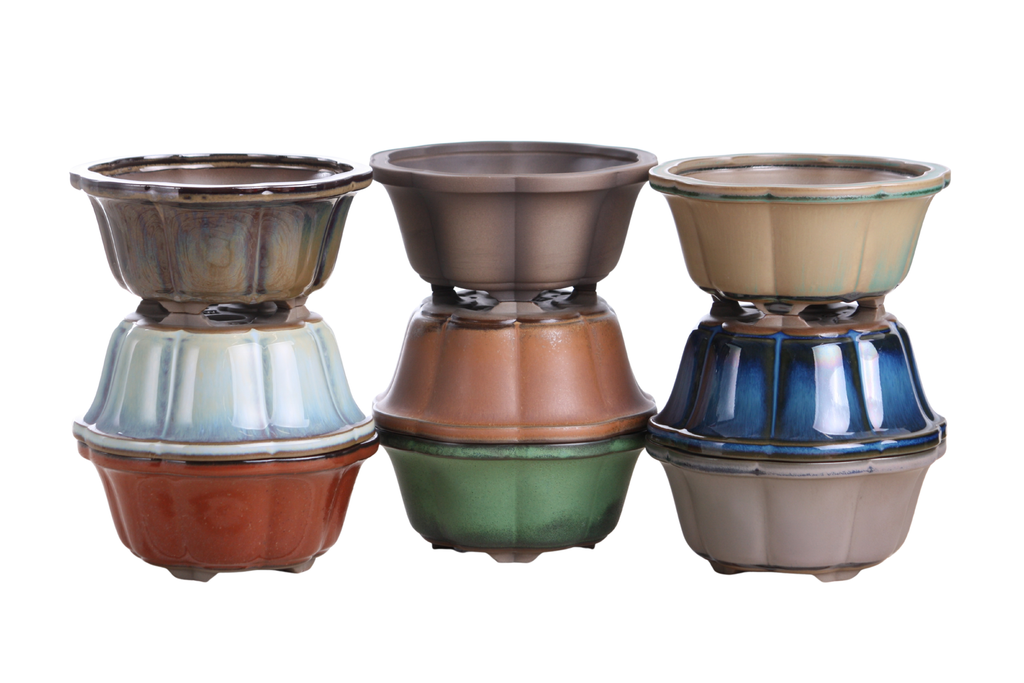 Lotus A Bonsai Pot 6 Inch – Semi‑Cascade Ceramic Planter with Scalloped Sides, High‑Fired Frost‑Proof Stoneware, Handmade in USA (Avocado)