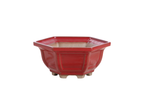 Willow Bonsai Ceramics Hexagonal Windowed Bonsai Pot 5 Inch – Semi‑Cascade Planter, High‑Fired Frost‑Proof Stoneware with Drainage & Wiring Holes, Handmade in USA (Red)