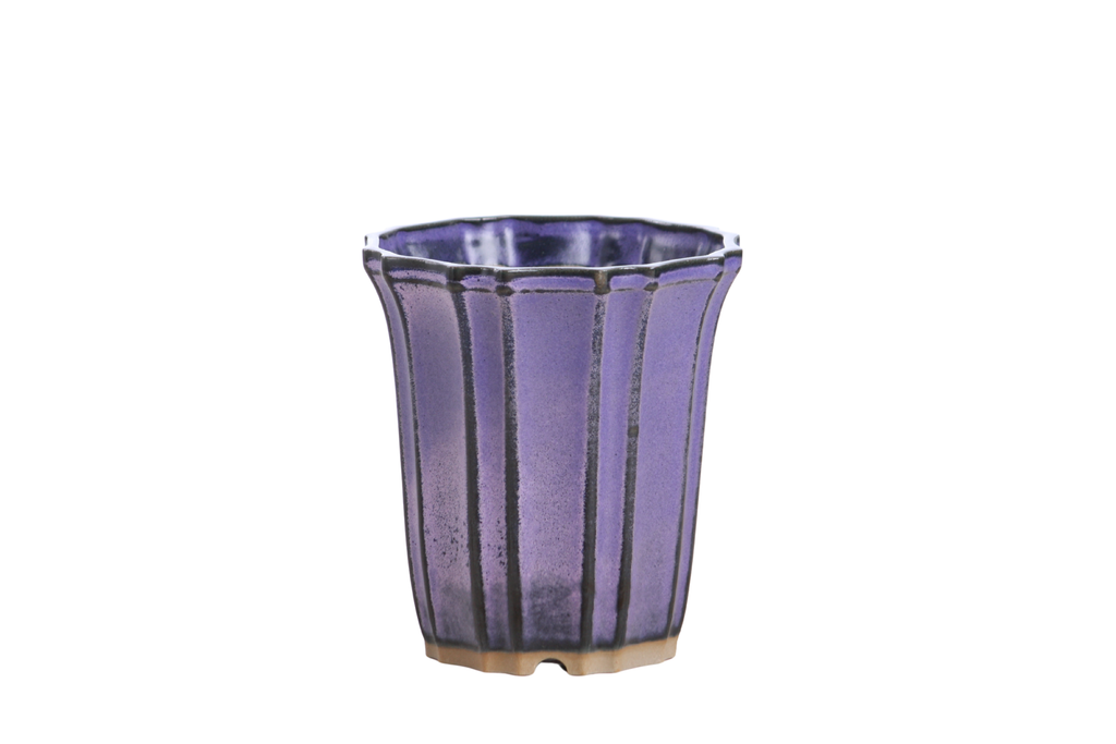 Willow Bonsai Ceramics Flower Design Cascade Bonsai Pot 4.5 Inch – Elegant Tall Ceramic Bonsai & Succulent Planter, High‑Fired Frost‑Proof Stoneware with Drainage & Wiring Holes, Handmade in USA (Purple)