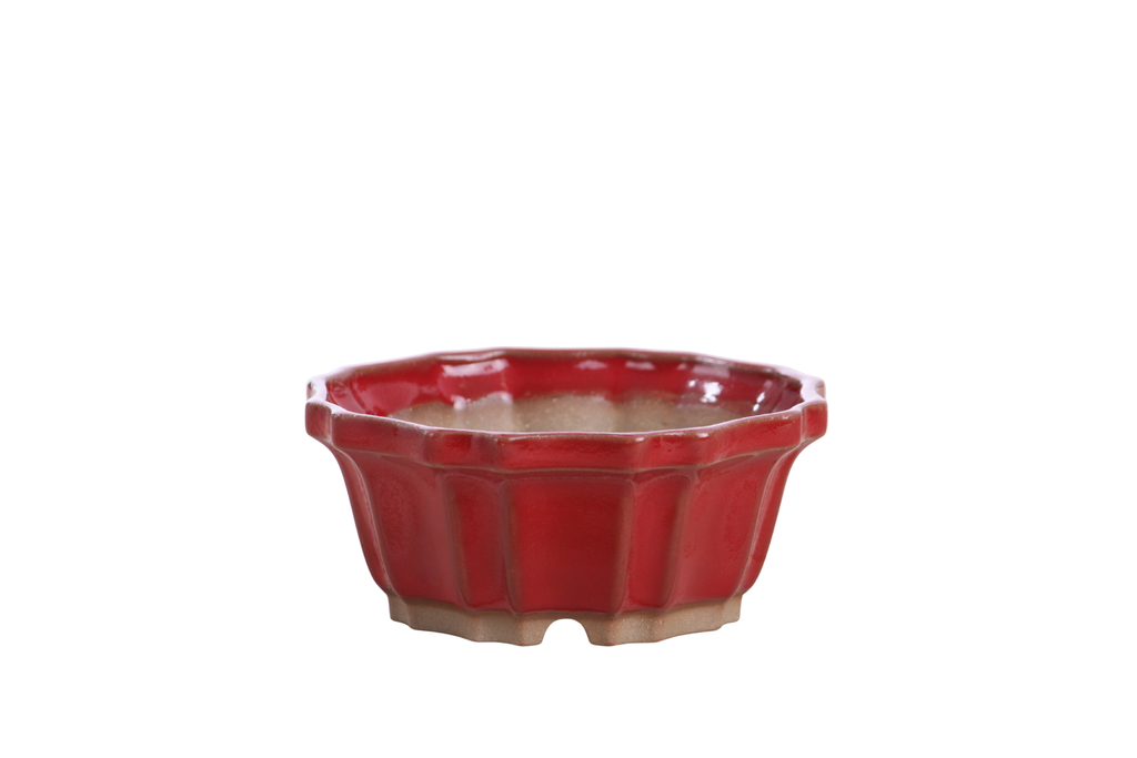 Willow Bonsai Ceramics Flower Design Bonsai Pot 4.5 Inch – Elegant Ceramic Bonsai & Succulent Planter, High‑Fired Frost‑Proof Stoneware with Drainage & Wiring Holes, Handmade in USA (Red)