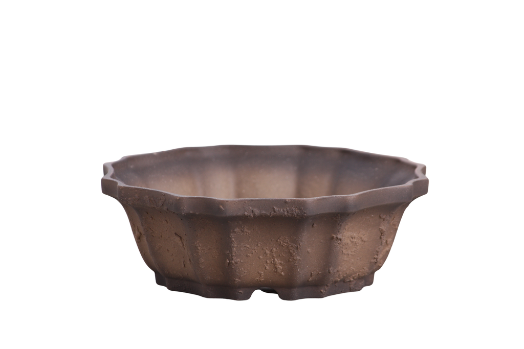 Willow Bonsai Ceramics Flower Design Bonsai Pot 6.5 Inch – Elegant Ceramic Bonsai & Succulent Planter, High‑Fired Frost‑Proof Stoneware with Drainage & Wiring Holes, Handmade in USA (Limited Edition Textured Unglazed 6.5 inch)