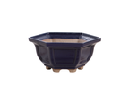 Willow Bonsai Ceramics Hexagonal Windowed Bonsai Pot 5 Inch – Semi‑Cascade Planter, High‑Fired Frost‑Proof Stoneware with Drainage & Wiring Holes, Handmade in USA (Ruri)