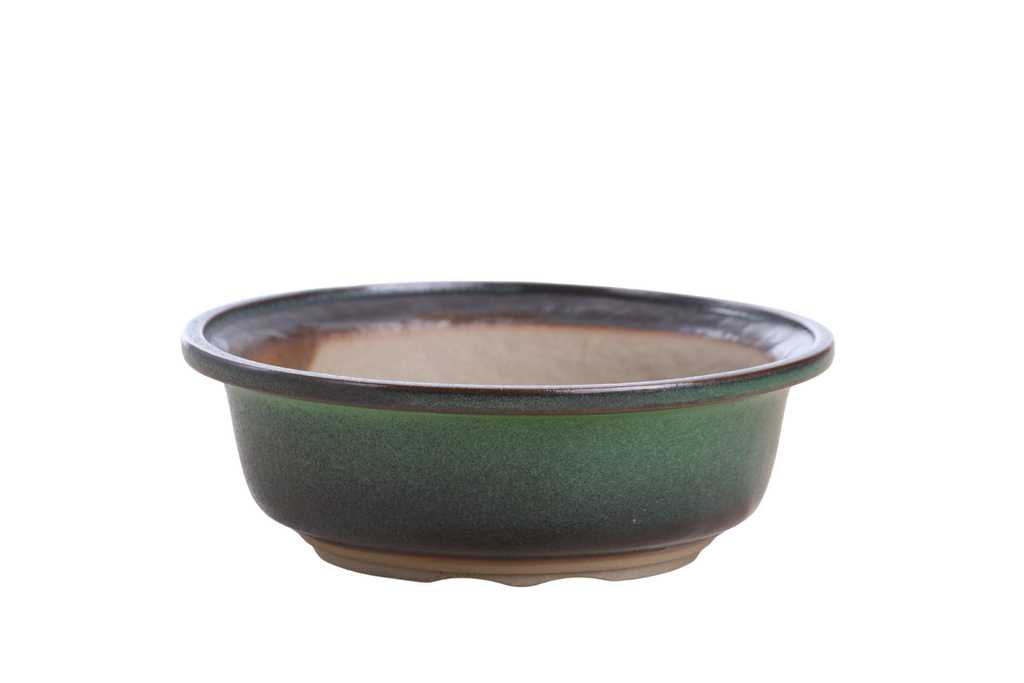 Willow Bonsai Ceramics Round Bonsai Pot 7 Inch – Round Ceramic Bonsai & Succulent Planter with Accentuated Rim and Sculpted Foot Ring, High‑Fired Frost‑Proof Stoneware, Handmade in USA (Avocado)