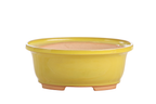 Willow Bonsai Ceramics Fat Bonsai Pot 7.5 Inch – Bold Oval Ceramic Bonsai & Succulent Planter with Accentuated Rim, High‑Fired Frost‑Proof Stoneware, Handmade in USA (Yellow)