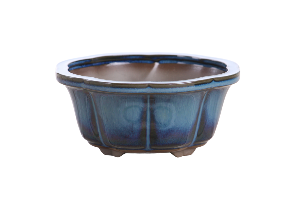 Lotus A Bonsai Pot 6 Inch – Semi‑Cascade Ceramic Planter with Scalloped Sides, High‑Fired Frost‑Proof Stoneware, Handmade in USA (Peacock)