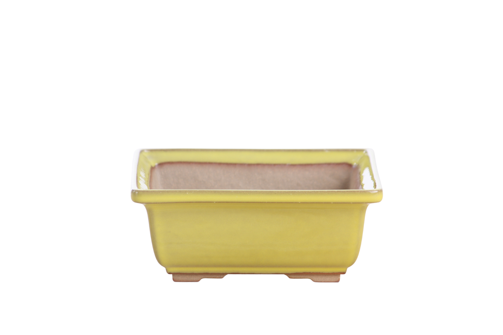 Willow Bonsai Ceramics Square Bonsai Pot 5.5 Inch – Low‑Profile Square Ceramic Bonsai & Succulent Planter with Accentuated Rim, High‑Fired Frost‑Proof Stoneware, Handmade in USA (Yellow)