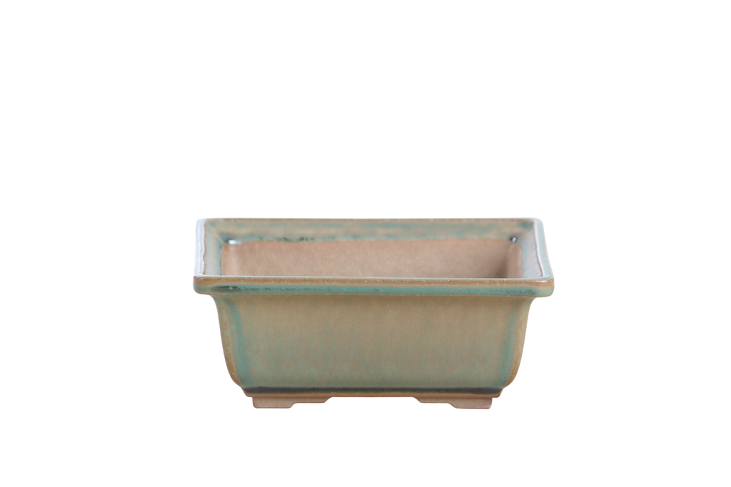 Willow Bonsai Ceramics Square Bonsai Pot 5.5 Inch – Low‑Profile Square Ceramic Bonsai & Succulent Planter with Accentuated Rim, High‑Fired Frost‑Proof Stoneware, Handmade in USA (Speckled Moss)