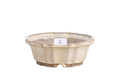 Willow Bonsai Ceramics Flower Design Bonsai Pot 5 Inch – Elegant Ceramic Bonsai & Succulent Planter, High‑Fired Frost‑Proof Stoneware with Drainage & Wiring Holes, Handmade in USA (Limited Edition 2)