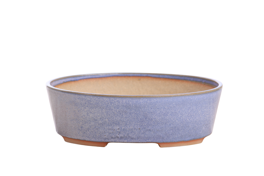 Willow Bonsai Ceramics Oval A Bonsai Pot 8 Inch – Straight‑Sided Oval Ceramic Bonsai & Succulent Planter, High‑Fired Frost‑Proof Stoneware with Drainage & Wiring Holes, Handmade in USA (Denim)