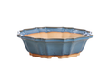 Willow Bonsai Ceramics Flower Design Bonsai Pot 10 Inch – Elegant Ceramic Bonsai & Succulent Planter, High‑Fired Frost‑Proof Stoneware with Drainage & Wiring Holes, Handmade in USA (Peacock 2025)