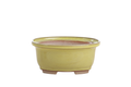 Willow Bonsai Ceramics Fat Bonsai Pot 5.5 Inch – Bold Oval Ceramic Bonsai & Succulent Planter with Accentuated Rim, High‑Fired Frost‑Proof Stoneware, Handmade in USA (Yellow)