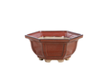 Willow Bonsai Ceramics Hexagonal Windowed Bonsai Pot 5 Inch – Semi‑Cascade Planter, High‑Fired Frost‑Proof Stoneware with Drainage & Wiring Holes, Handmade in USA (Sunset)