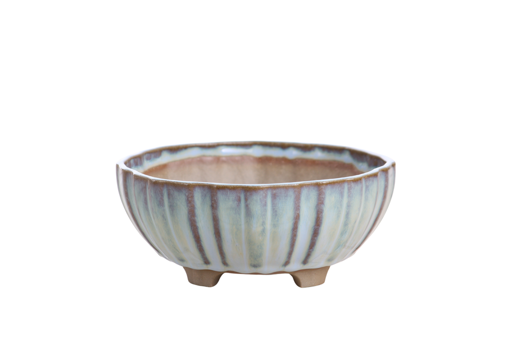 Willow Bonsai Ceramics Lily Bonsai Pot 6 Inch – Sculpted Rounded Ceramic Bonsai & Succulent Planter with Wavy Profile, High‑Fired Frost‑Proof Stoneware, Handmade in USA (Glacier)