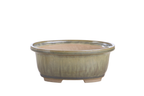 Willow Bonsai Ceramics Fat Bonsai Pot 6.5 Inch – Bold Oval Ceramic Bonsai & Succulent Planter with Accentuated Rim, High‑Fired Frost‑Proof Stoneware, Handmade in USA (Copenhagen)