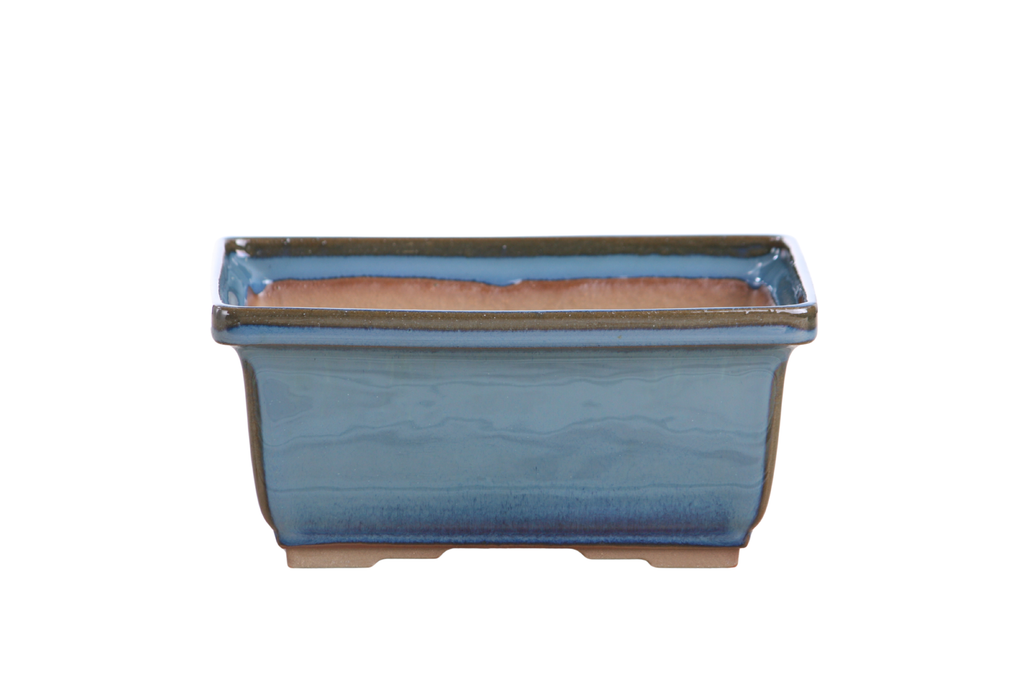 Willow Bonsai Ceramics Rectangle Deep Bonsai Pot 7 Inch – Higher‑Profile Rectangular Ceramic Bonsai & Succulent Planter with Accentuated Rim, High‑Fired Frost‑Proof Stoneware, Handmade in USA (Peacock 2025)