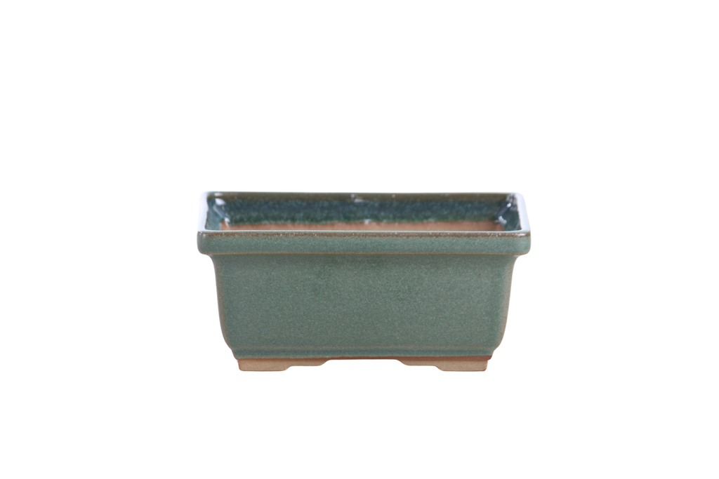Willow Bonsai Ceramics Rectangle Deep Bonsai Pot 5 Inch – Higher‑Profile Rectangular Ceramic Bonsai & Succulent Planter with Accentuated Rim, High‑Fired Frost‑Proof Stoneware, Handmade in USA (Seaweed 2025)