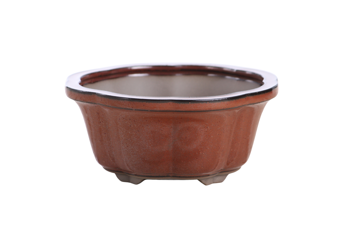 Lotus A Bonsai Pot 6 Inch – Semi‑Cascade Ceramic Planter with Scalloped Sides, High‑Fired Frost‑Proof Stoneware, Handmade in USA (Sunset)