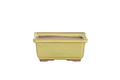 Willow Bonsai Ceramics Rectangle Deep Bonsai Pot 5 Inch – Higher‑Profile Rectangular Ceramic Bonsai & Succulent Planter with Accentuated Rim, High‑Fired Frost‑Proof Stoneware, Handmade in USA (Yellow)