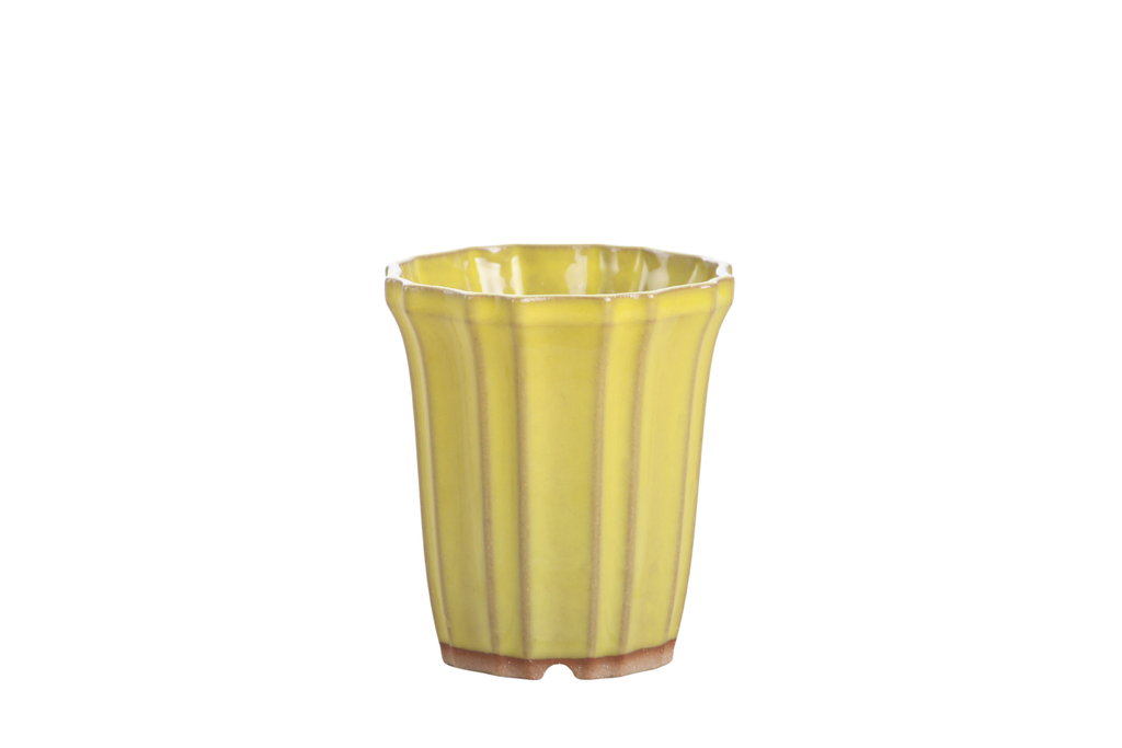 Willow Bonsai Ceramics Flower Design Cascade Bonsai Pot 3 Inch – Elegant Tall Ceramic Bonsai & Succulent Planter, High‑Fired Frost‑Proof Stoneware with Drainage & Wiring Holes, Handmade in USA (Yellow)
