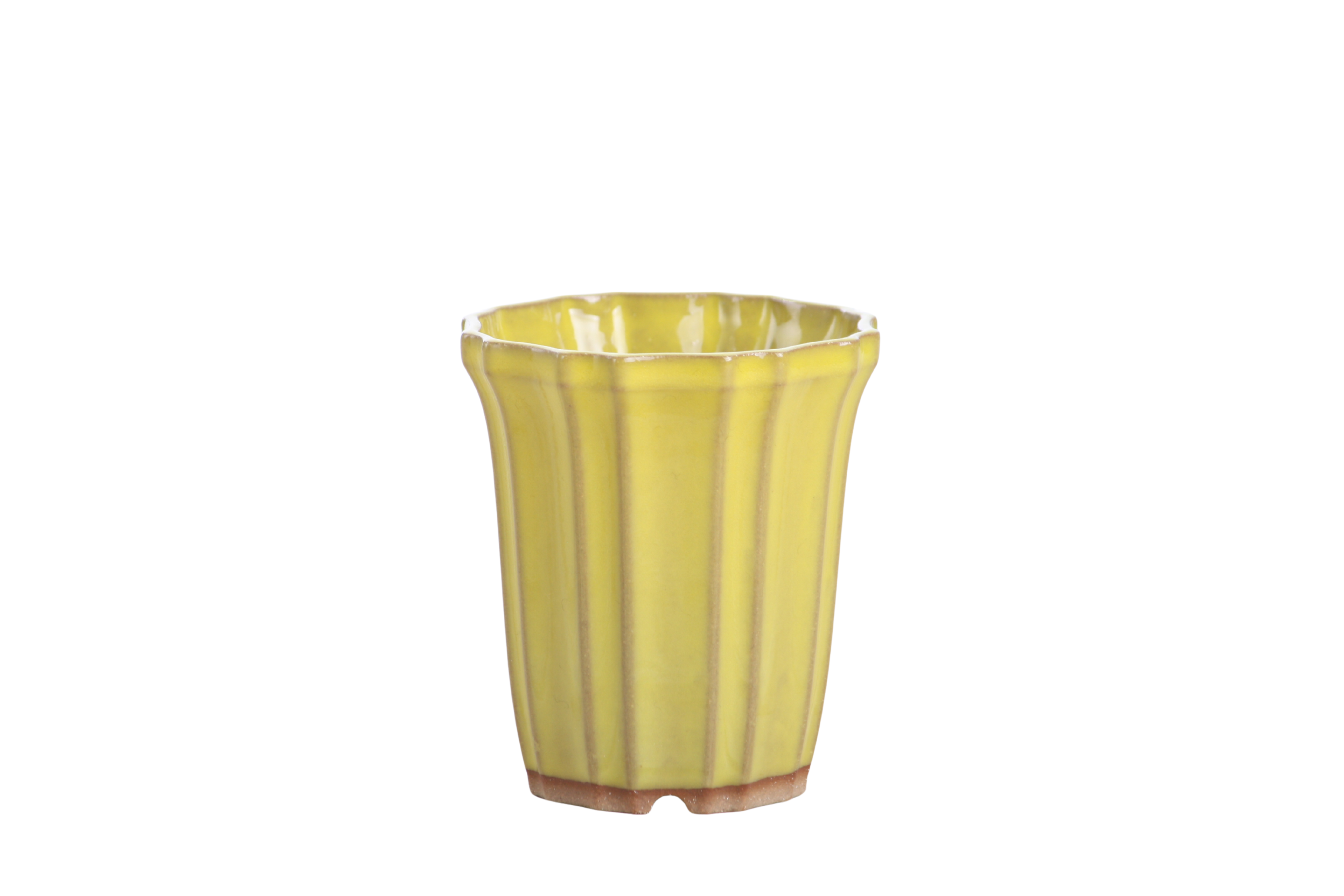 Willow Bonsai Ceramics Flower Design Cascade Bonsai Pot 3 Inch – Elegant Tall Ceramic Bonsai & Succulent Planter, High‑Fired Frost‑Proof Stoneware with Drainage & Wiring Holes, Handmade in USA (Yellow)