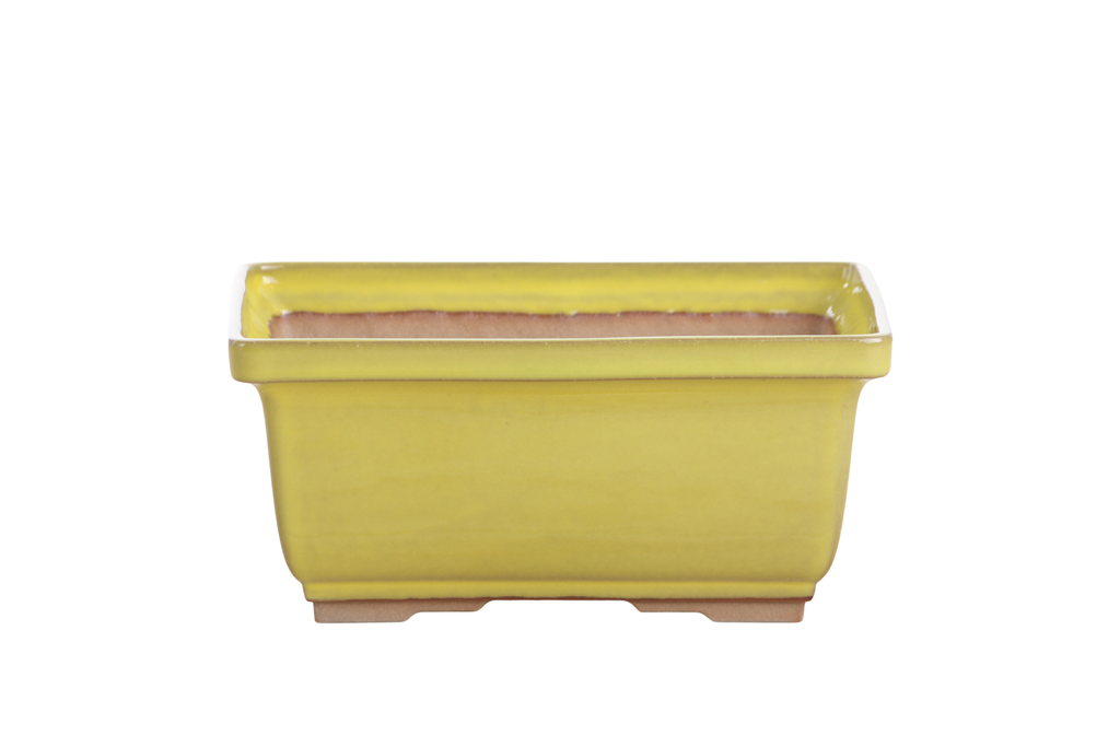 Willow Bonsai Ceramics Rectangle Deep Bonsai Pot 7 Inch – Higher‑Profile Rectangular Ceramic Bonsai & Succulent Planter with Accentuated Rim, High‑Fired Frost‑Proof Stoneware, Handmade in USA (Yellow)