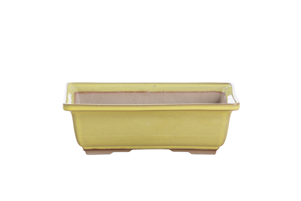 Willow Bonsai Ceramics Rectangle Bonsai Pot 8 Inch – Lower‑Profile Rectangular Ceramic Bonsai & Succulent Planter with Accentuated Rim, High‑Fired Frost‑Proof Stoneware, Handmade in USA (Yellow)