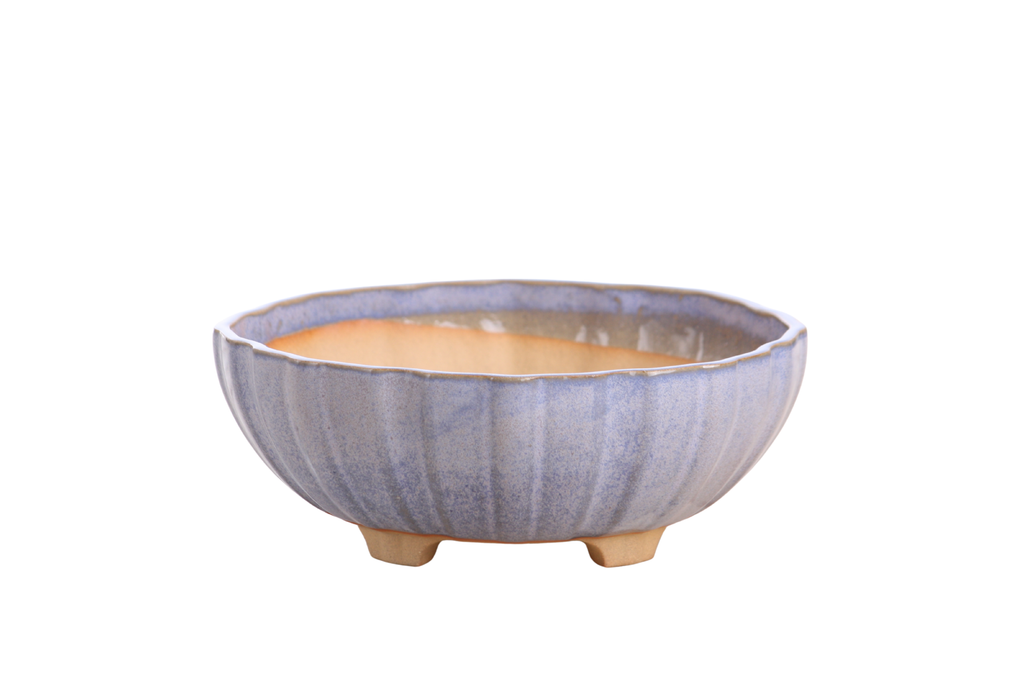 Willow Bonsai Ceramics Lily Bonsai Pot 7 Inch – Sculpted Rounded Ceramic Bonsai & Succulent Planter with Wavy Profile, High‑Fired Frost‑Proof Stoneware, Handmade in USA (Denim)