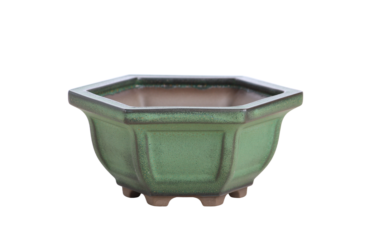 Hexagonal Windowed Semi‑Cascade Bonsai Pot 5 Inch – Ceramic Bonsai & Succulent Planter with Detailed Rim, High‑Fired Frost‑Proof Stoneware, Handmade in USA (Avocado)