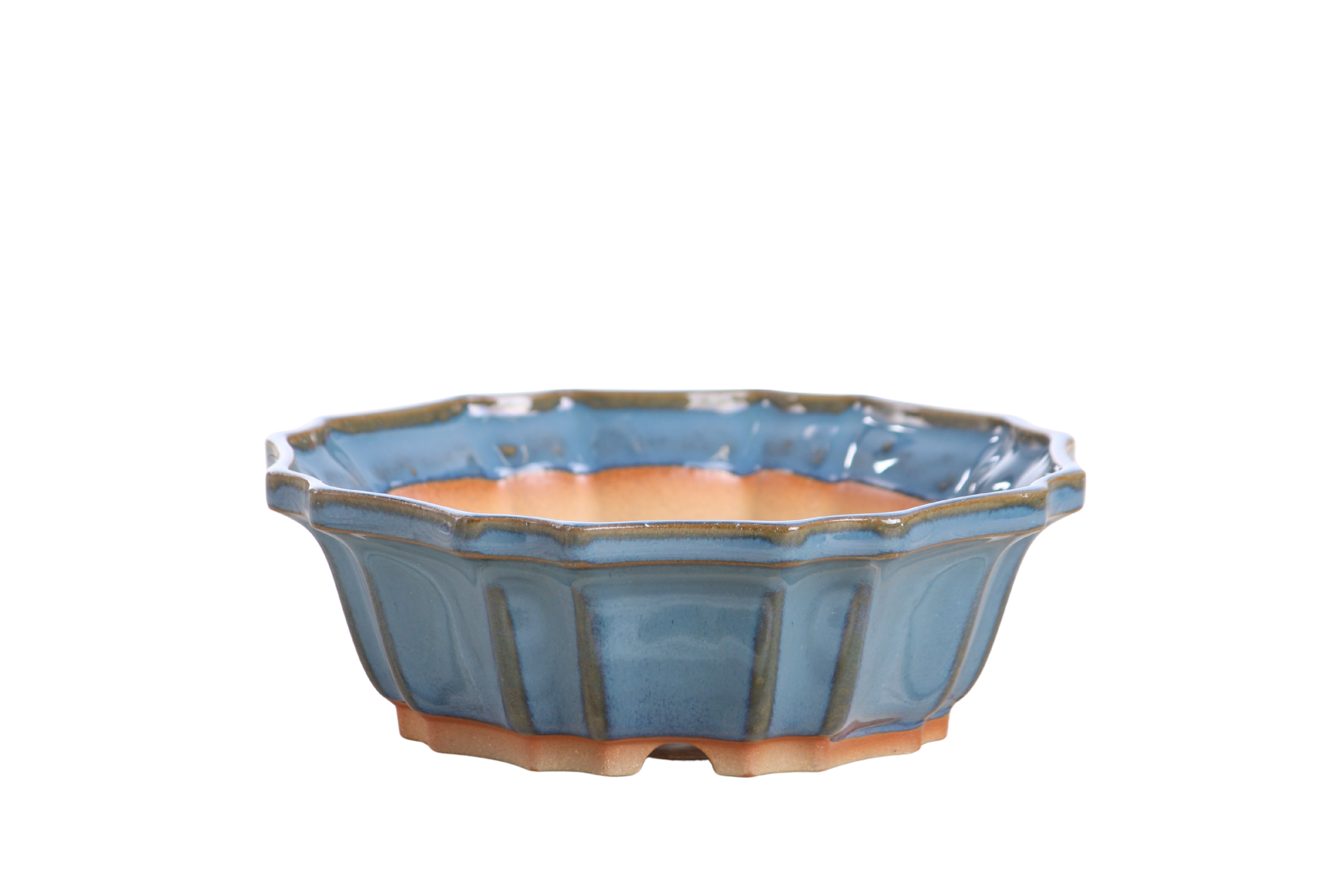 Willow Bonsai Ceramics Flower Design Bonsai Pot 6.5 Inch – Elegant Ceramic Bonsai & Succulent Planter, High‑Fired Frost‑Proof Stoneware with Drainage & Wiring Holes, Handmade in USA (Peacock 2025)