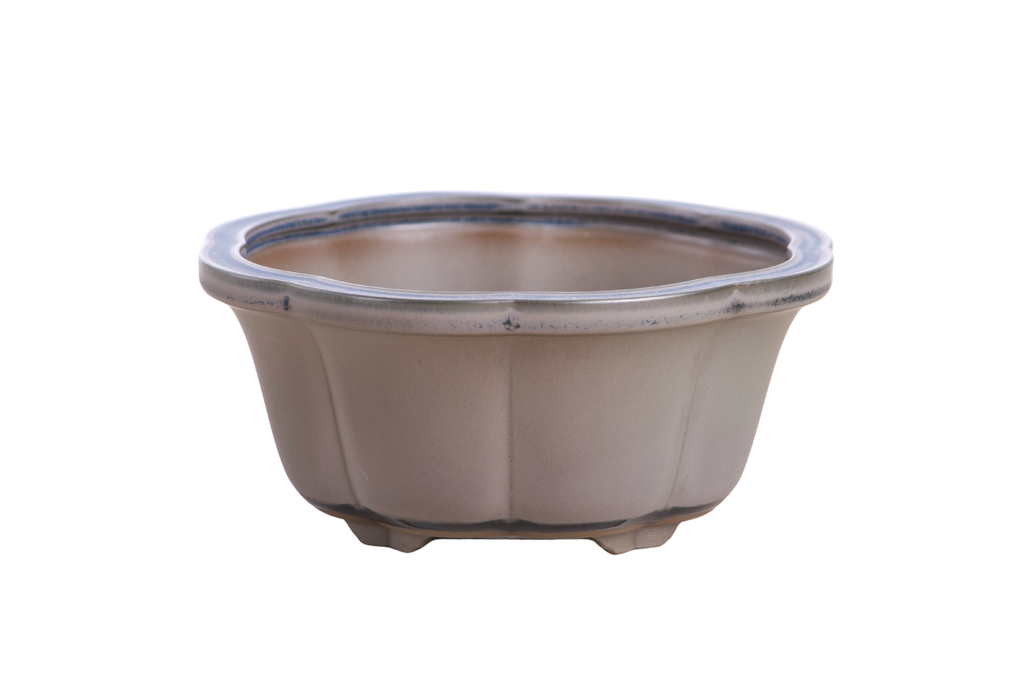 Lotus A Bonsai Pot 6 Inch – Semi‑Cascade Ceramic Planter with Scalloped Sides, High‑Fired Frost‑Proof Stoneware, Handmade in USA (Ocean)