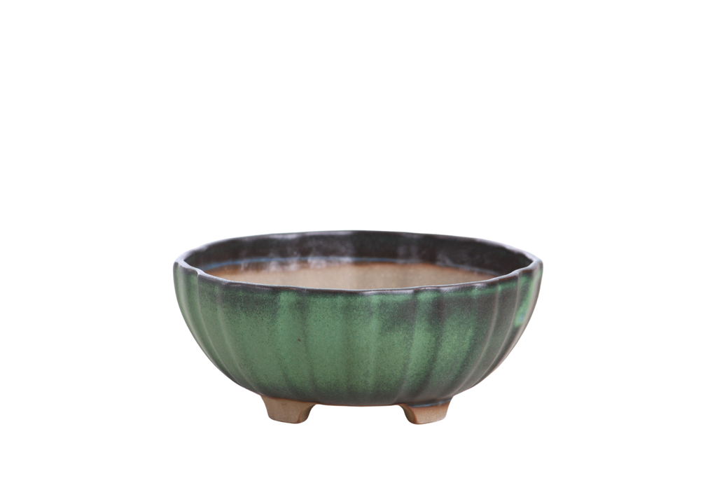 Willow Bonsai Ceramics Lily Bonsai Pot 5.5 Inch – Sculpted Rounded Ceramic Bonsai & Succulent Planter with Wavy Profile, High‑Fired Frost‑Proof Stoneware, Handmade in USA (Avocado)