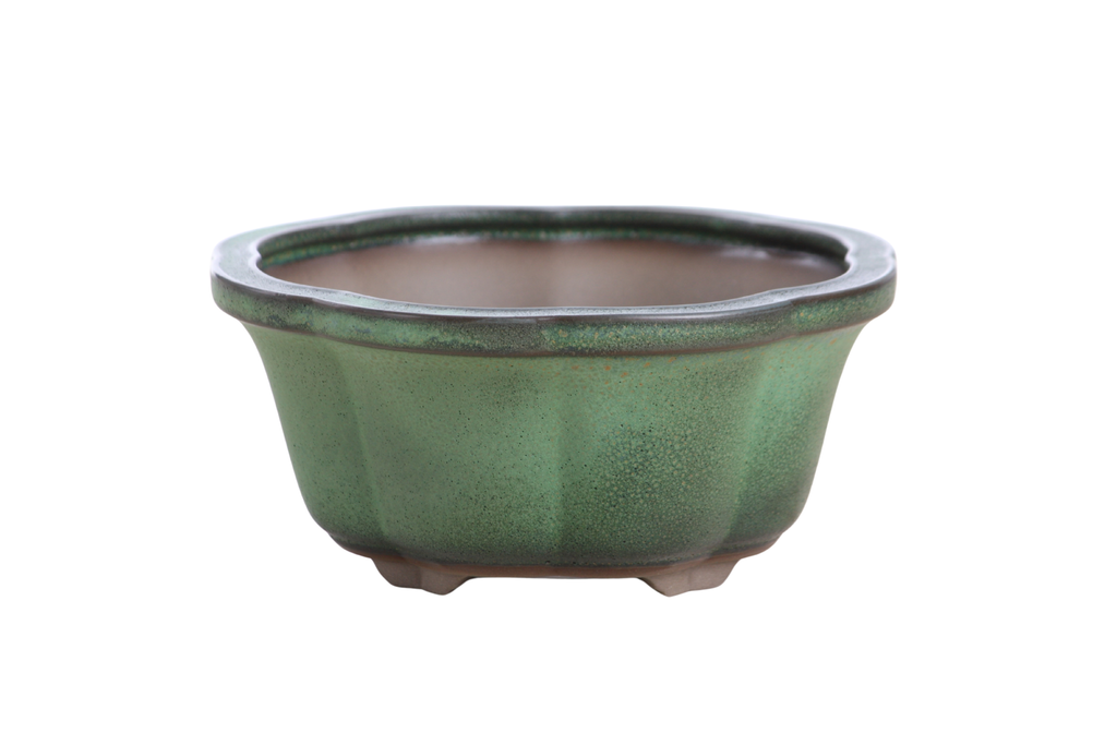 Lotus A Bonsai Pot 6 Inch – Semi‑Cascade Ceramic Planter with Scalloped Sides, High‑Fired Frost‑Proof Stoneware, Handmade in USA (Avocado)