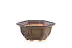 Willow Bonsai Ceramics Hexagonal Windowed Bonsai Pot 5 Inch – Semi‑Cascade Planter, High‑Fired Frost‑Proof Stoneware with Drainage & Wiring Holes, Handmade in USA (Dark Honey)