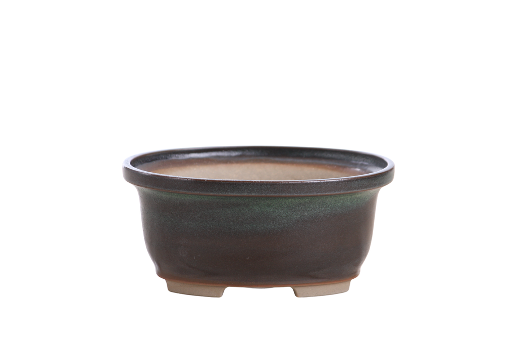 Willow Bonsai Ceramics Fat Bonsai Pot 5.5 Inch – Bold Oval Ceramic Bonsai & Succulent Planter with Accentuated Rim, High‑Fired Frost‑Proof Stoneware, Handmade in USA (Avocado)