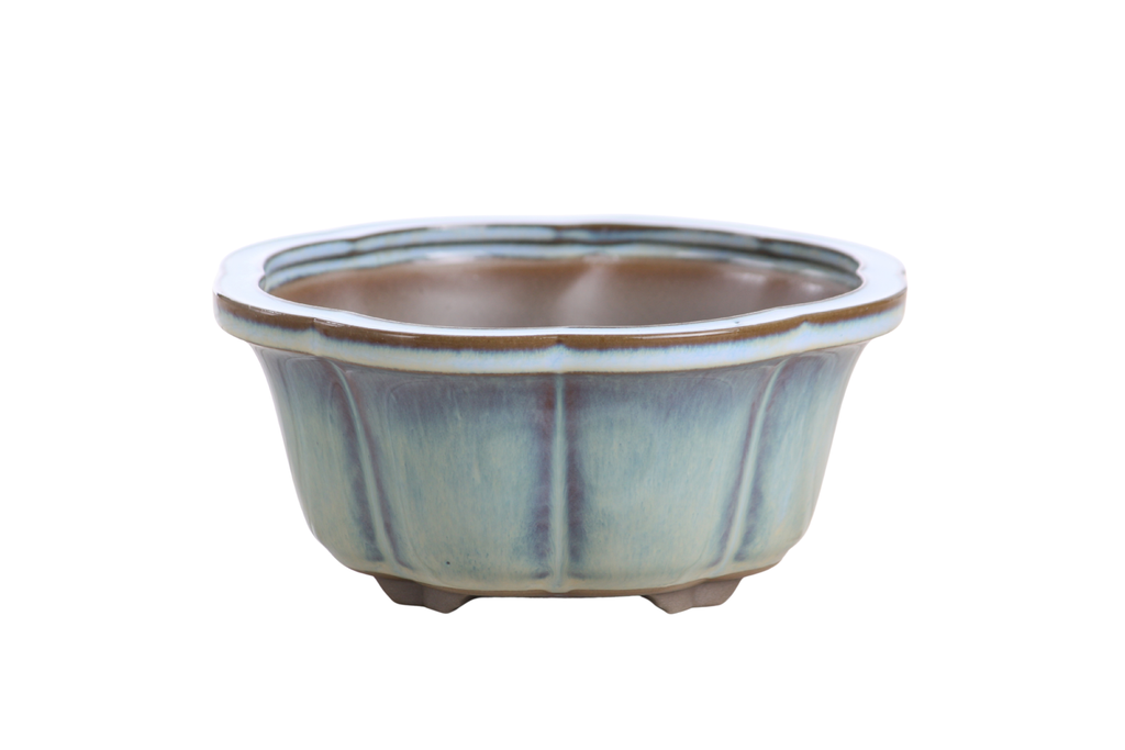 Lotus A Bonsai Pot 6 Inch – Semi‑Cascade Ceramic Planter with Scalloped Sides, High‑Fired Frost‑Proof Stoneware, Handmade in USA (Glacier)