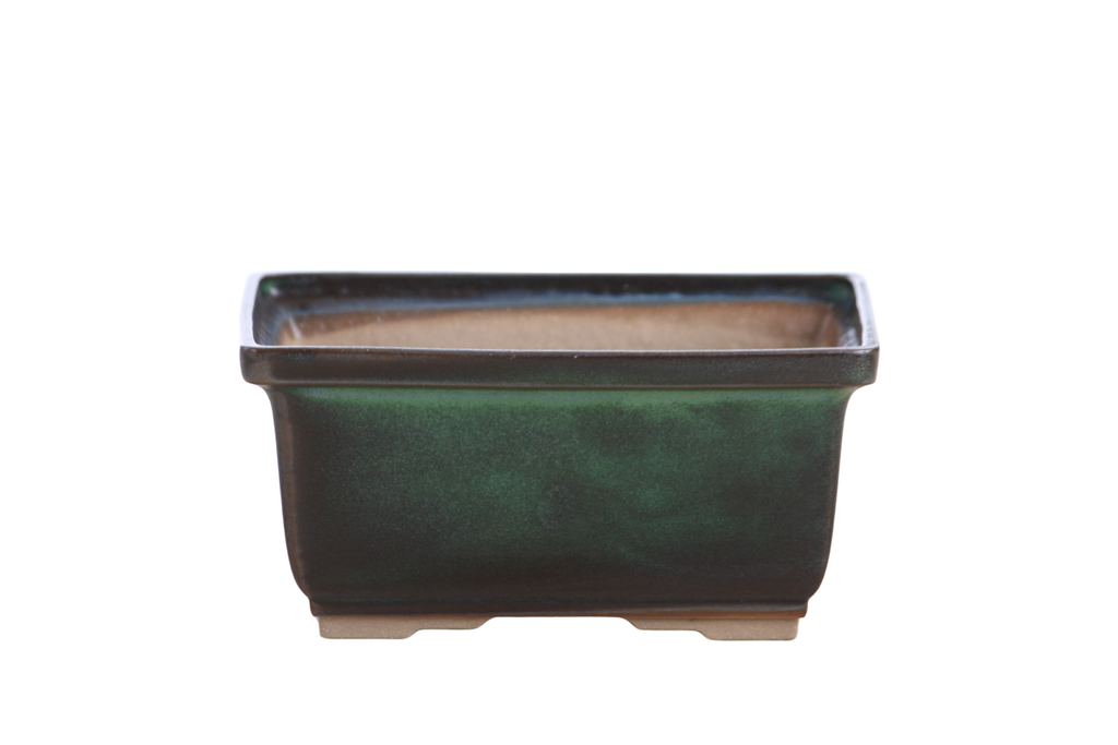 Willow Bonsai Ceramics Rectangle Deep Bonsai Pot 6 Inch – Higher‑Profile Rectangular Ceramic Bonsai & Succulent Planter with Accentuated Rim, High‑Fired Frost‑Proof Stoneware, Handmade in USA (Avocado)
