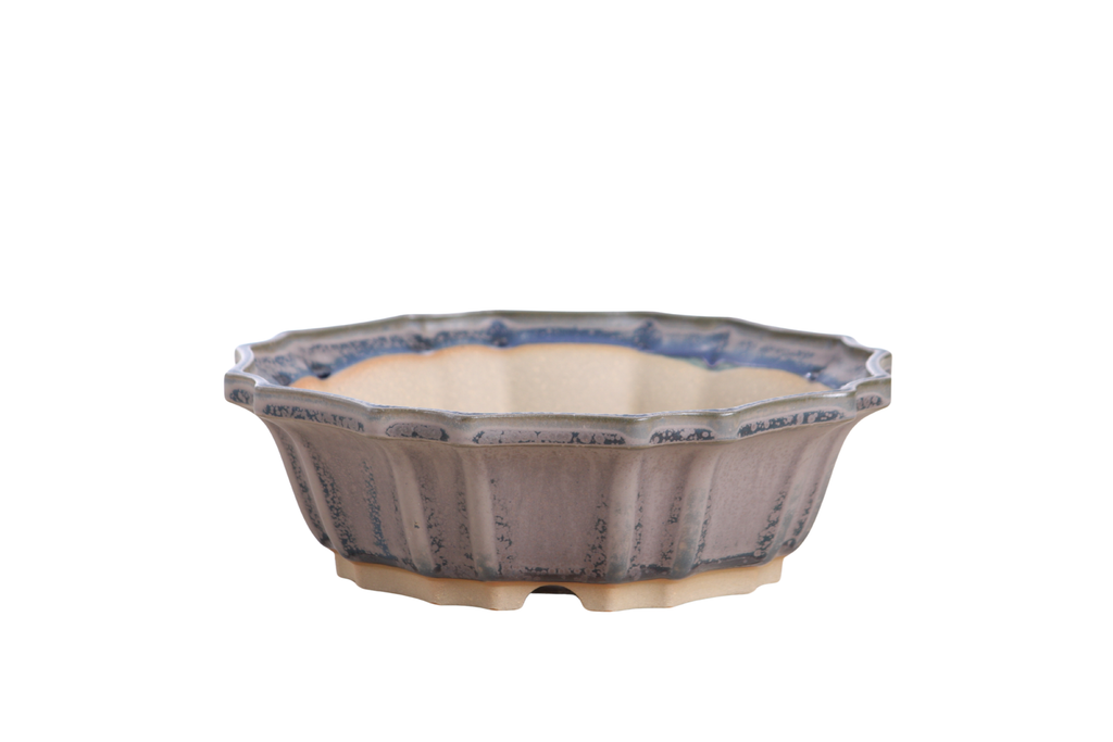 Willow Bonsai Ceramics Flower Design Bonsai Pot 8 Inch – Elegant Ceramic Bonsai & Succulent Planter, High‑Fired Frost‑Proof Stoneware with Drainage & Wiring Holes, Handmade in USA (Ocean)