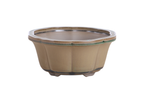 Lotus A Bonsai Pot 6 Inch – Semi‑Cascade Ceramic Planter with Scalloped Sides, High‑Fired Frost‑Proof Stoneware, Handmade in USA (Speckled Moss)